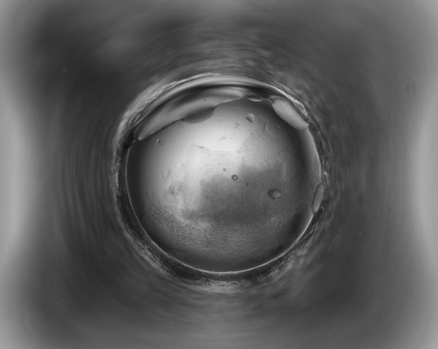 X0000087550149200704271214