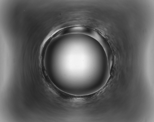 X0000087550150200704271214