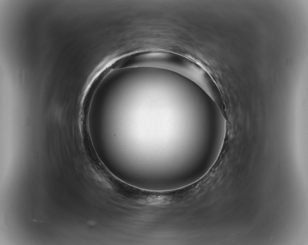 X0000087550152200704271214