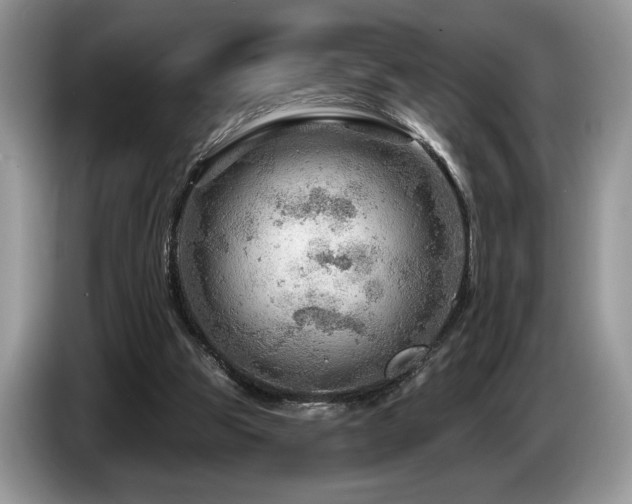 X0000087550153200704271214