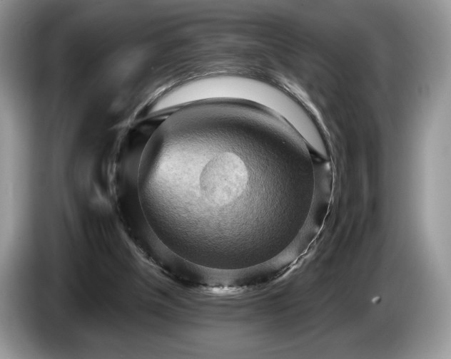 X0000087550154200704271214