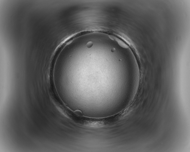 X0000087550155200704271214