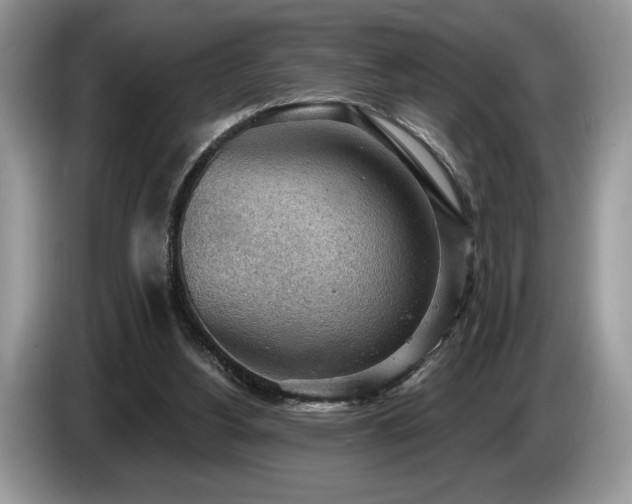 X0000087550156200704271214