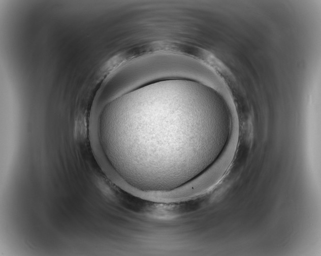 X0000087550158200704271214