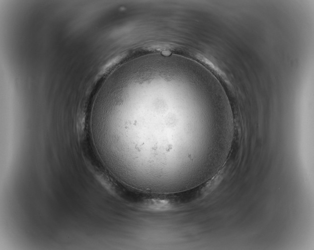 X0000087550159200704271214