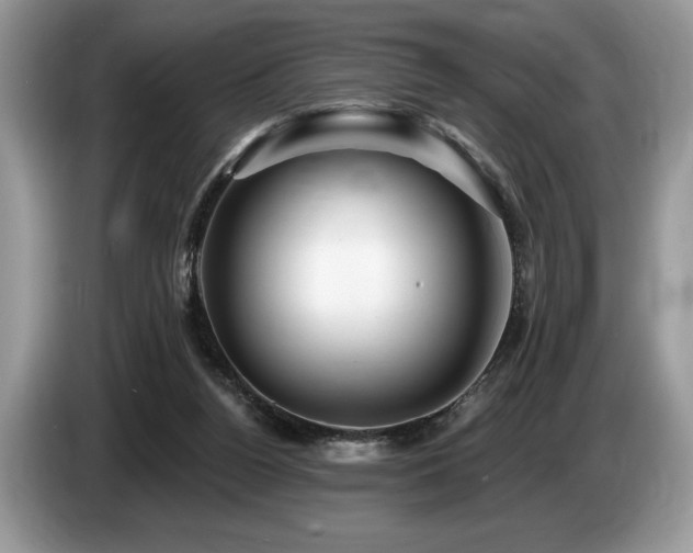 X0000087550160200704271214