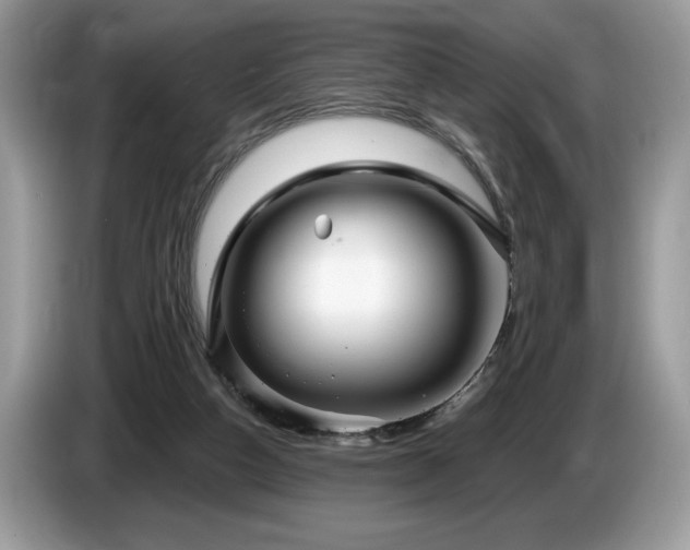 X0000087550162200704271214