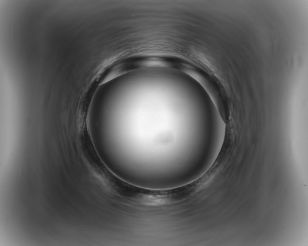 X0000087550164200704271214