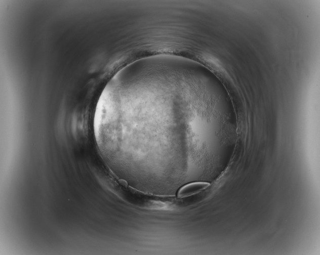 X0000087550167200704271214