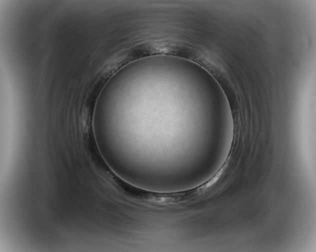 X0000087550174200704271215