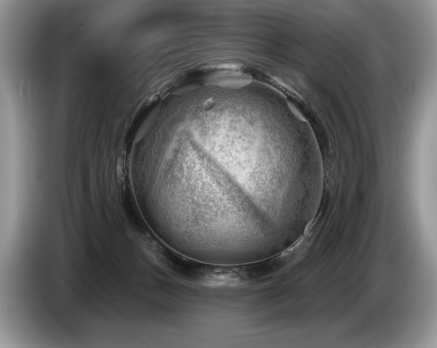 X0000087550175200704271215