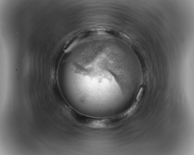 X0000087550178200704271215