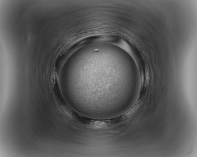 X0000087550180200704271215