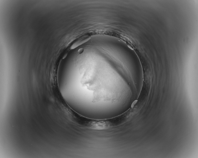 X0000087550181200704271215