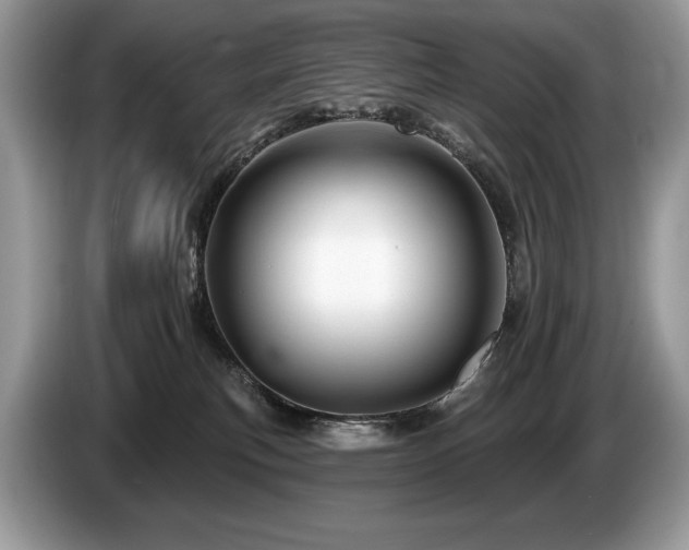 X0000087550183200704271215