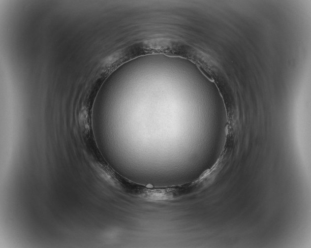 X0000087550187200704271215