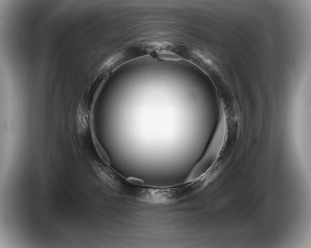 X0000087550188200704271215