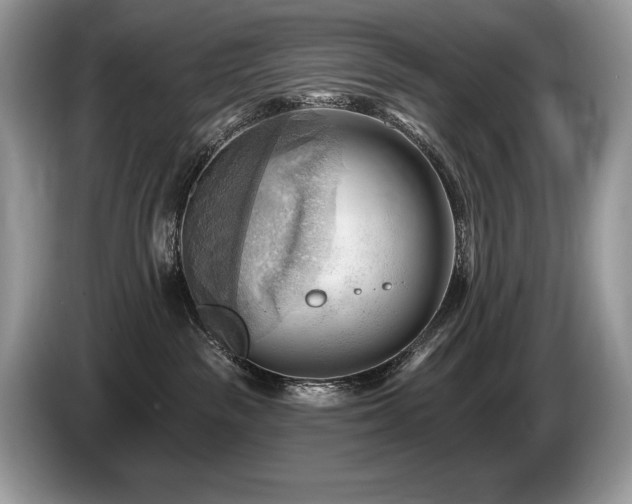 X0000087550189200704271215