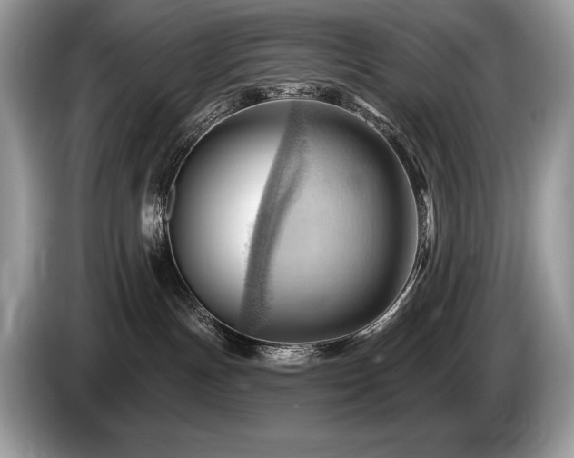 X0000087550191200704271215