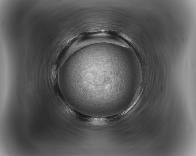 X0000087550192200704271215