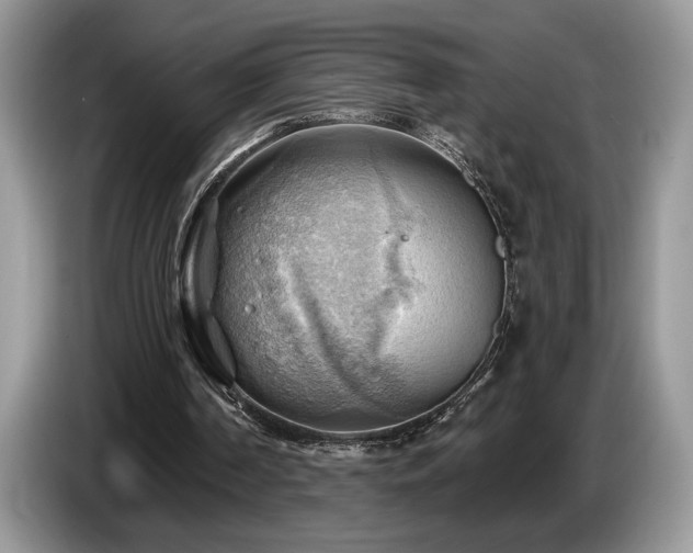 X0000087550194200704271214