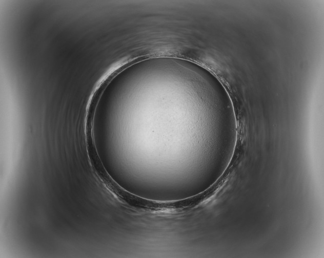 X0000087550196200704271214