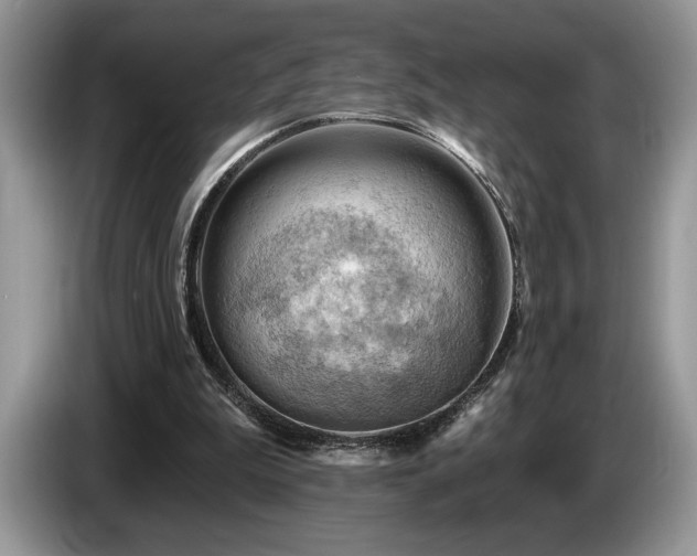 X0000087550199200704271214