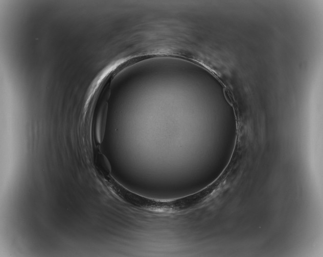 X0000087550200200704271214