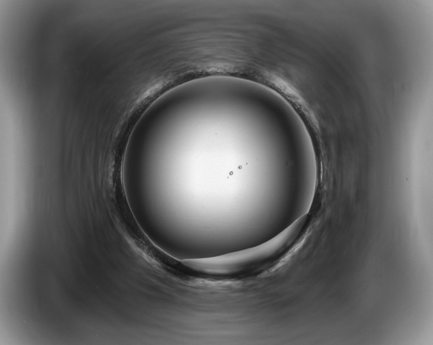 X0000087550201200704271214