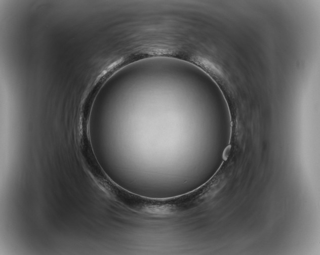 X0000087550202200704271214