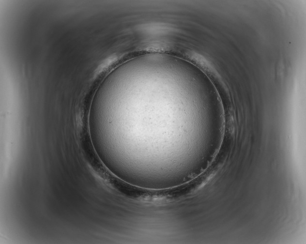 X0000087550208200704271214