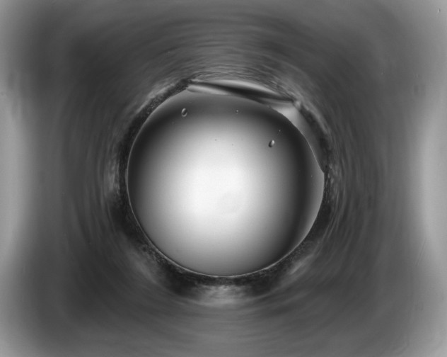 X0000087550212200704271214