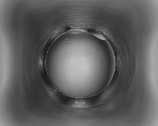 X0000087550214200704271214