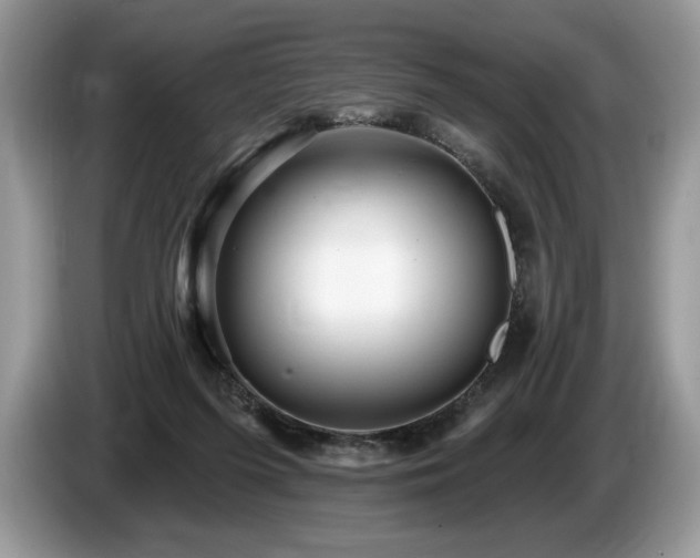 X0000087550215200704271214