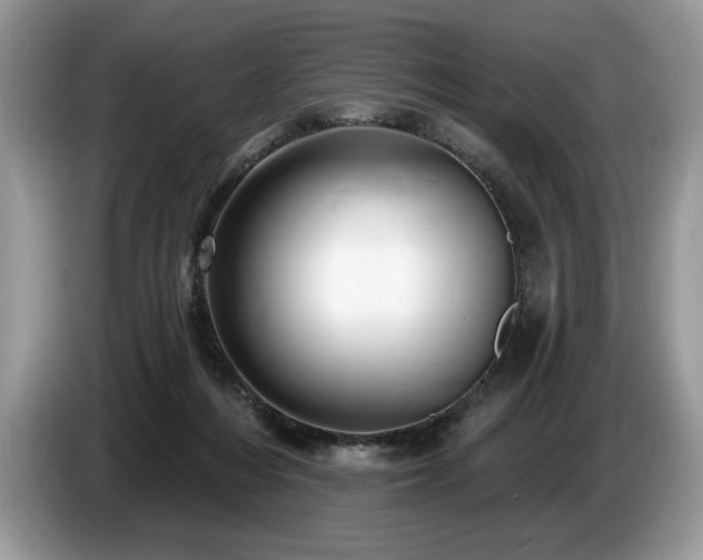 X0000087550216200704271214