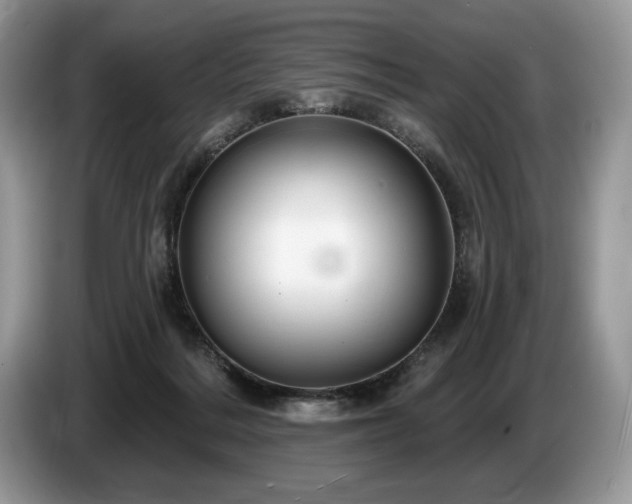 X0000087550220200704271214