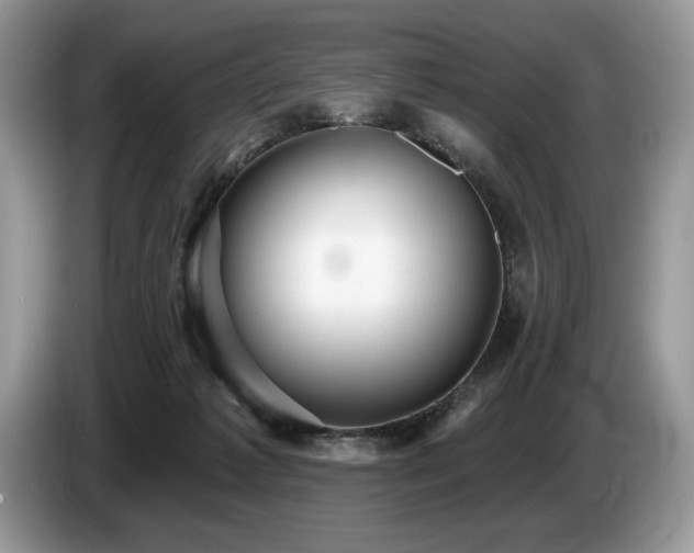 X0000087550221200704271214