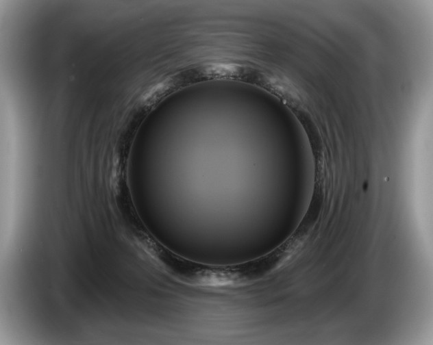 X0000087550223200704271214