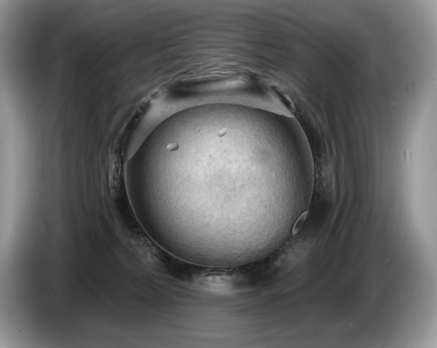 X0000087550228200704271214