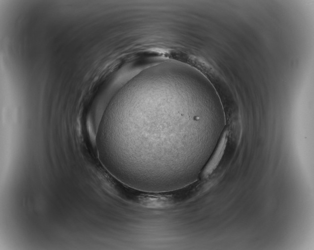 X0000087550229200704271214