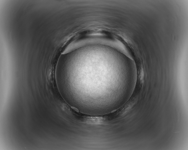 X0000087550233200704271214