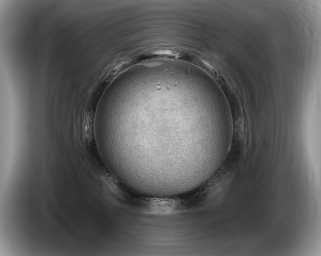 X0000087550234200704271214