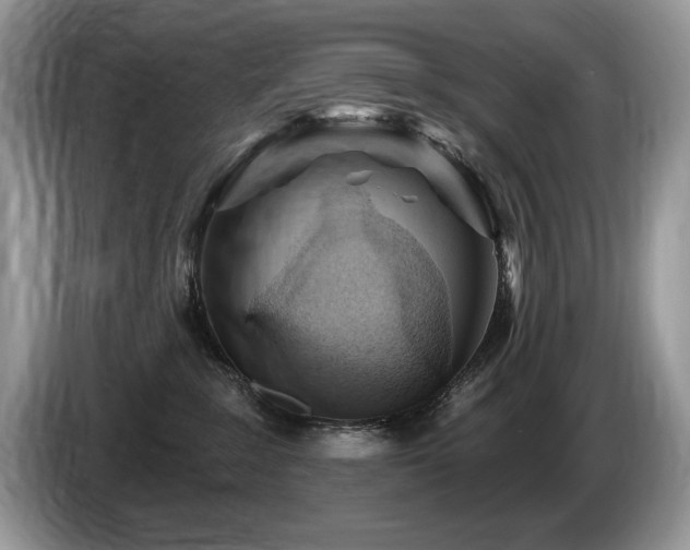 X0000087550235200704271214