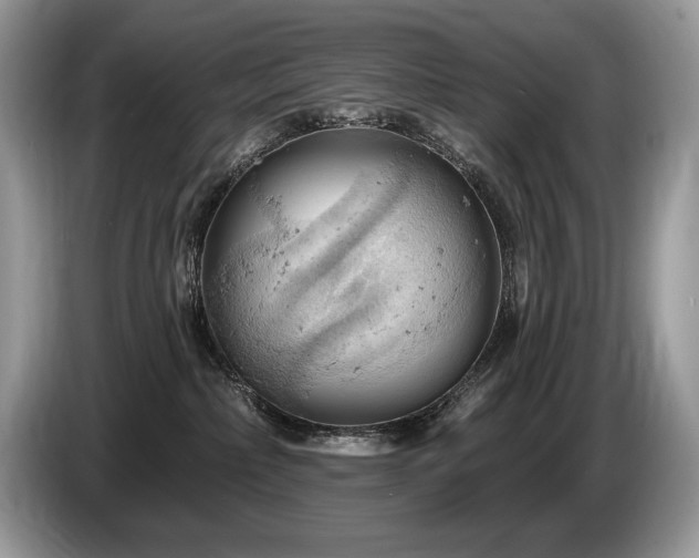 X0000087550236200704271214