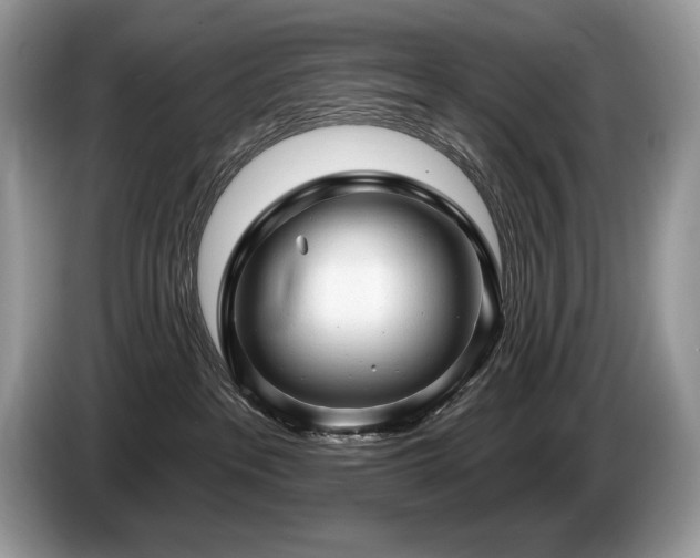 X0000087550237200704271214