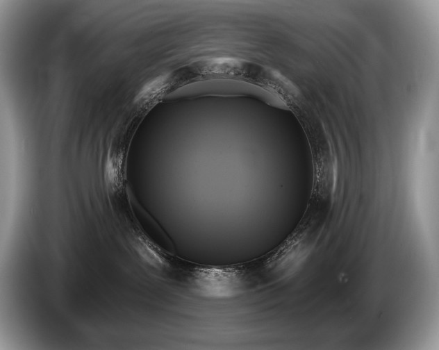 X0000087550239200704271214