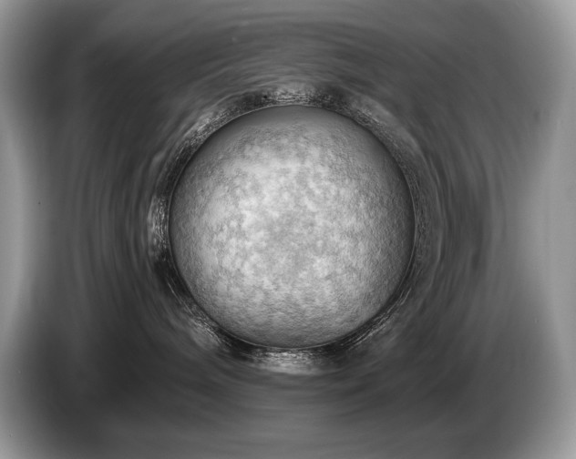 X0000087550240200704271214