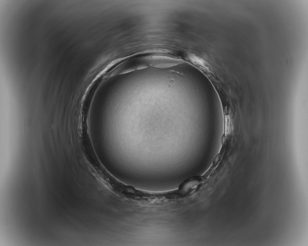 X0000087550243200704271213