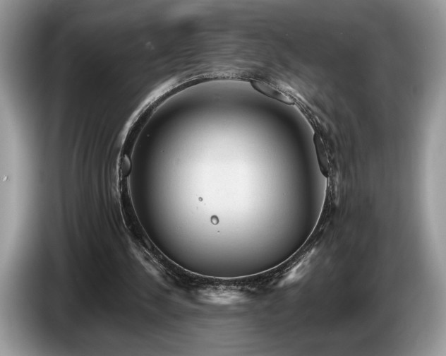 X0000087550244200704271213