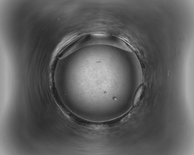X0000087550245200704271213